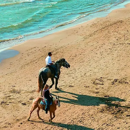Grecotel Luxme Palms At Riviera Olympia & Aqua Park 4* Kastro-Kyllini