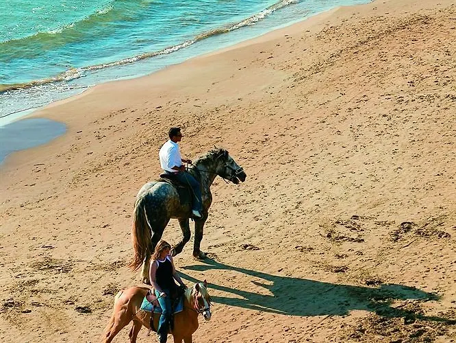 Grecotel Luxme Palms At Riviera Olympia & Aqua Park 4* Kastro-Kyllini